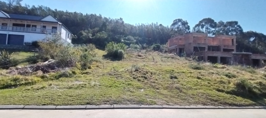 0 Bedroom Property for Sale in Green Pastures Western Cape